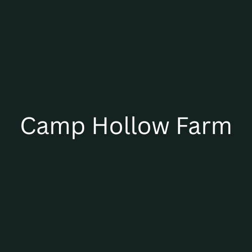CampHollow